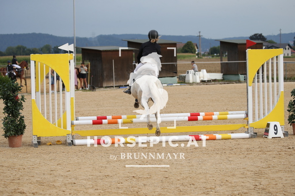 DL2Q3093 | Willkommen bei Brunnmayr - Design & Fotografie – Ihrem Spezialisten für Reitturniere und Pferdeveranstaltungen in Oberösterreich, Salzburg und Bayern! Seit über 17 Jahren sind wir leidenschaftlich dabei.