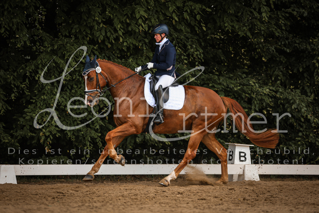 10.FrDrL00497 | Leoni Ertmer Photography - Realisiert mit Pictrs.com