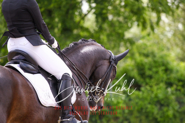 DKP41026 | Turnierfotos kaufen im Webshop von Daniel Kuhl Photography – entdecke professionelle Reitsportfotos aus Turnieren & Events. Hochwertige Turnierbilder online bestellen & sichern. Jetzt Fotos von Reitsportturnieren kaufen!