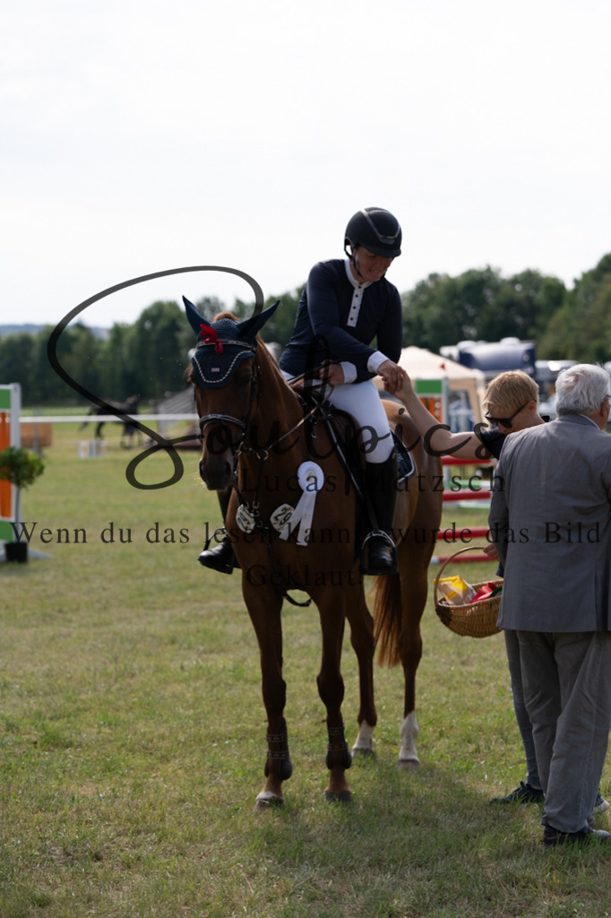 A7V01500 | Pferdefotograf