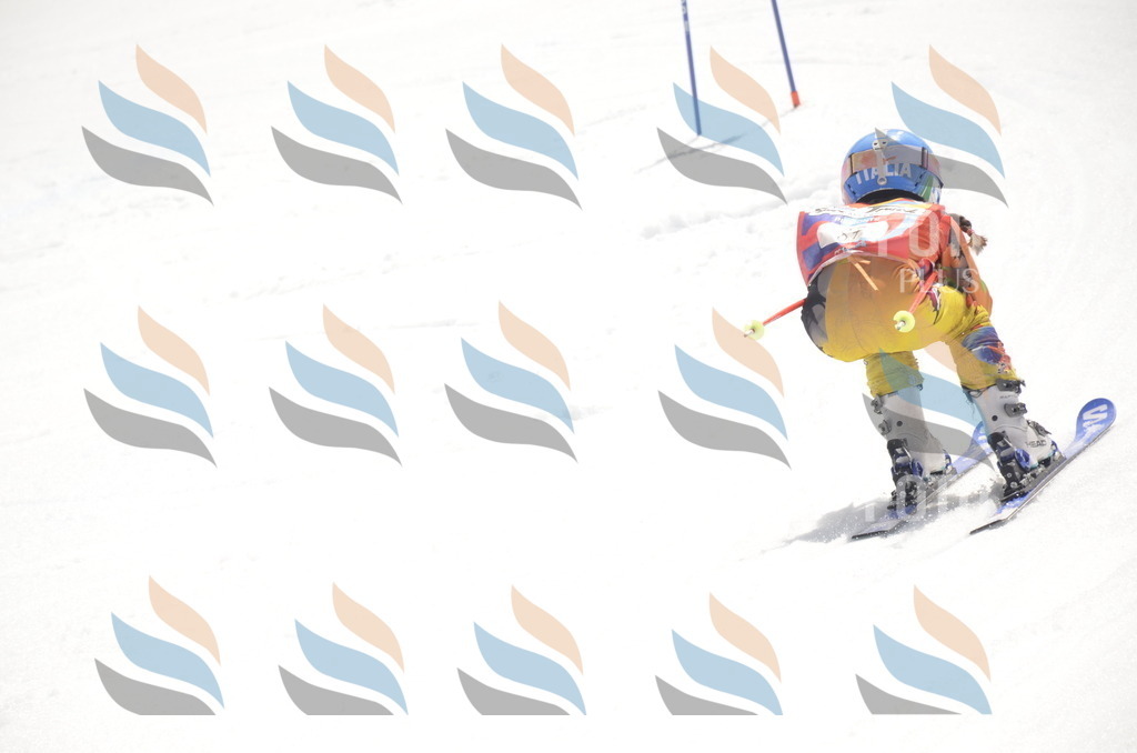 _ELE9258 | holidayphoto