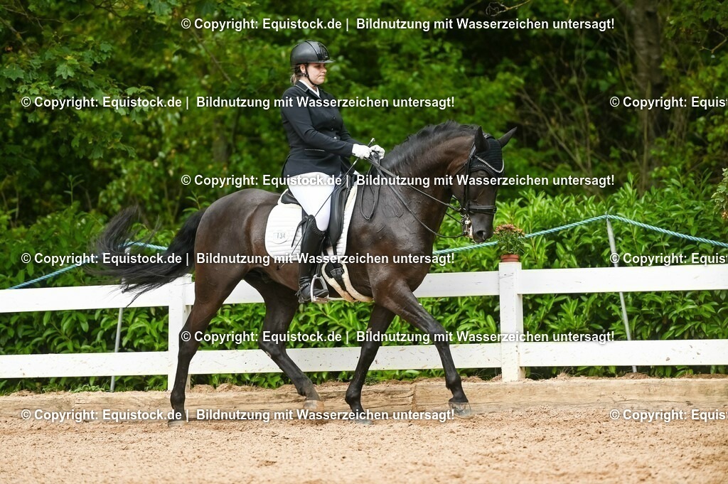 20230716_01_Dressurprüfung Kl.M_0571 | equistock