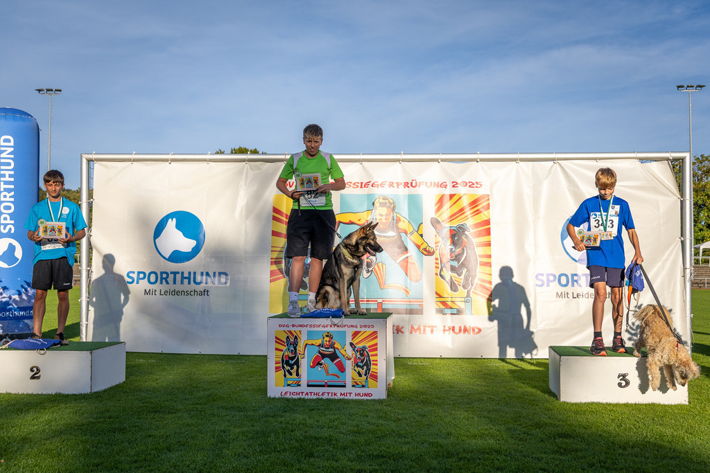 Pfotenfotografie_DV3A4428-2 | Hundefotografie, Tierfotograf, Pfotenfotografie, Fotoshooting Hund, Hunde Portrait, Hundesport, Hundeportraits, Heideshooting, Hunde, Sportfotograf, Hundefotograf, Turnierhundsport, THS,  - Realisiert mit Pictrs.com