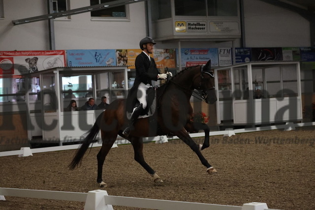Wiesental_2025_NBM_Prfg.Nr.04_Prix St.Georges_Patric Puscha_Quintero B 3  (9) | Alle Fotos der Reiterjournal Fotografin Doris Matthaes im Reiterjournal Online-Fotoshop. - Realisiert mit Pictrs.com