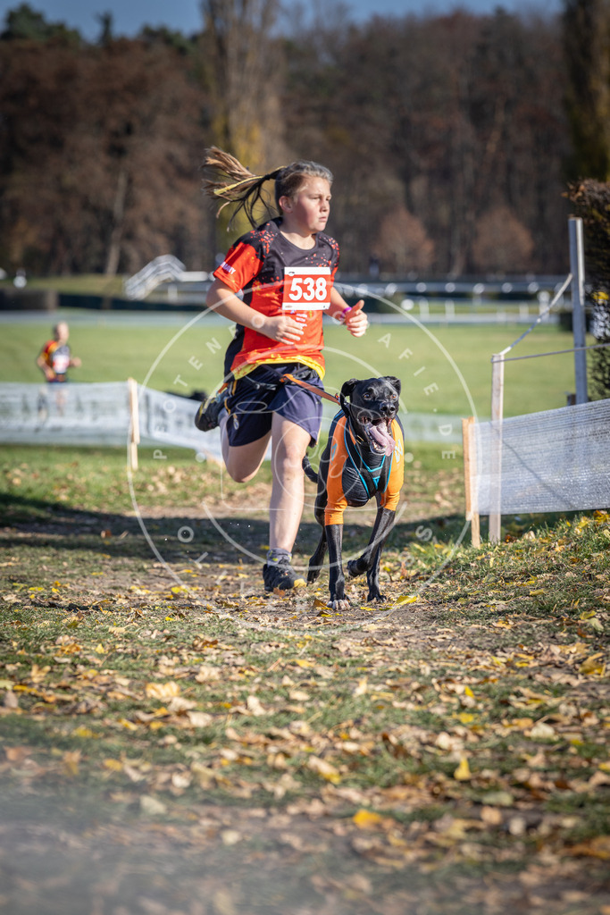 CaniXpix_DV3A8337 | Hundefotografie, Tierfotograf, Pfotenfotografie, Fotoshooting Hund, Hunde Portrait, Hundesport, Hundeportraits, Heideshooting, Hunde, Sportfotograf, Hundefotograf, Turnierhundsport, THS,  - Realisiert mit Pictrs.com