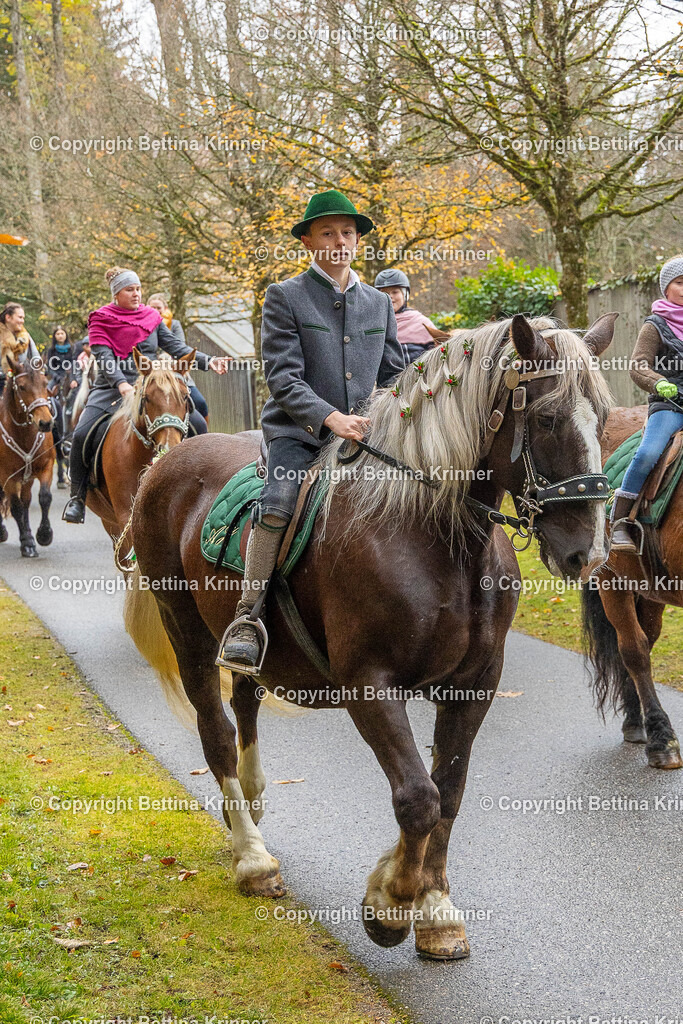 LL25-244 | foto-bettina-krinner - Realisiert mit Pictrs.com