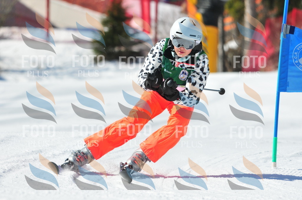 C3787 | holidayphoto