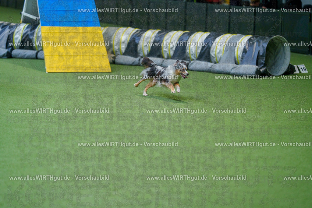 @allesWIRTHgut_Tierfotografie - www.allesWIRTHgut.de - 2604250841-7R507449 | Professionelle Tierfotografie in Mönchengladbach von Daniel Wirth (allesWIRTHgut). Liebevolle & natürliche Bilder von Hunden & Katzen für unvergessliche Erinnerungen.