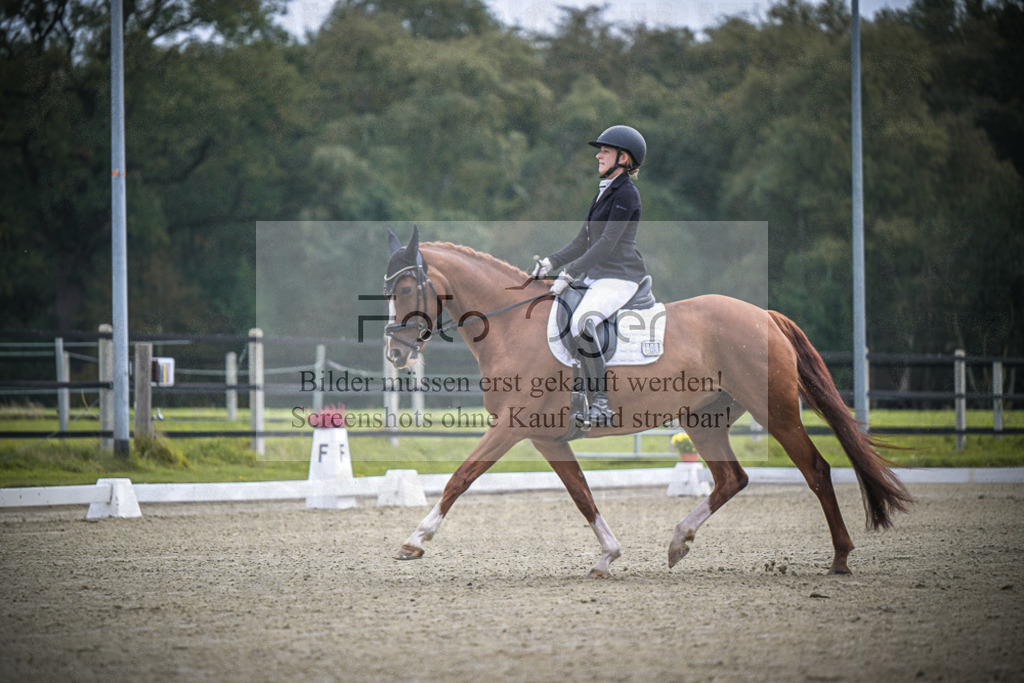 DOS_B380 | Entdecke hochwertige Reitturnierfotos von Foto Oger. Professionell, emotional und authentisch – jetzt Lieblingsmomente im Shop bestellen.Deutschlandweite Turnierfotografie. - Realisiert mit Pictrs.com