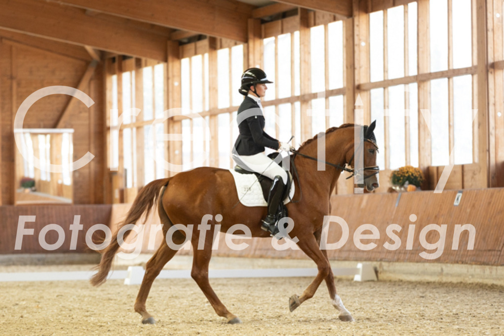 IMG_2125 | Creatify Fotografie