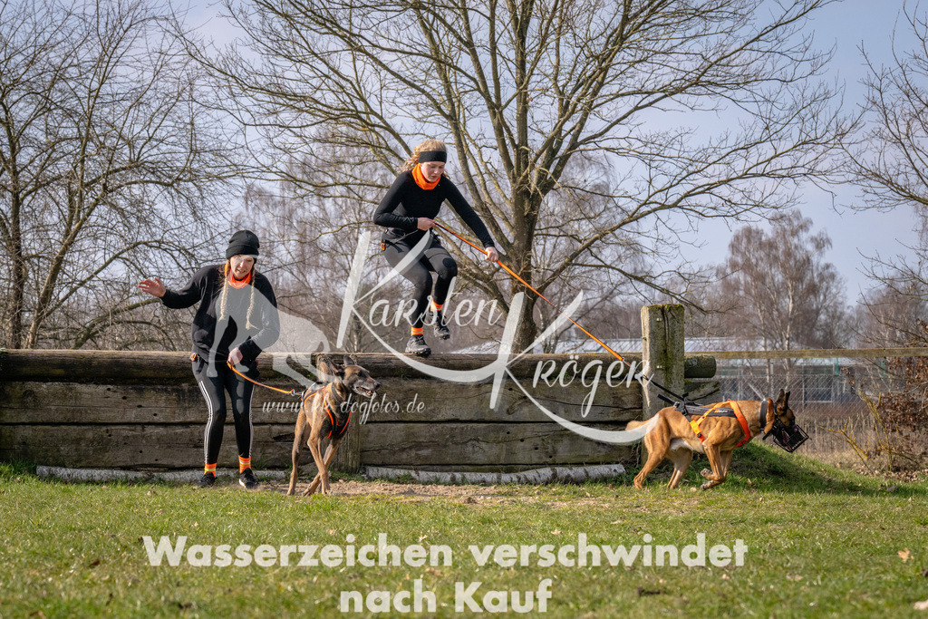 _ZZ90220 | kk-dogfotos