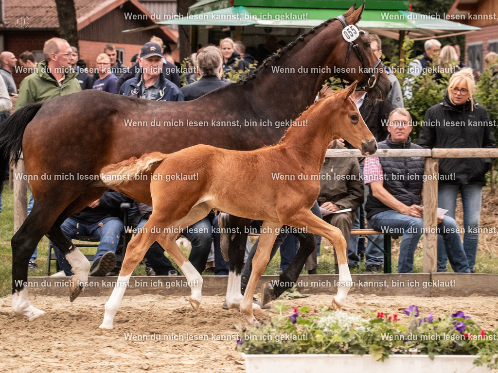 A10I5545 | photographylinaismer - Realisiert mit Pictrs.com