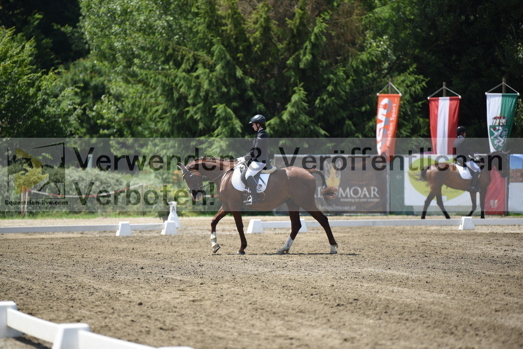 DSC_0061 | equestrian-live-com