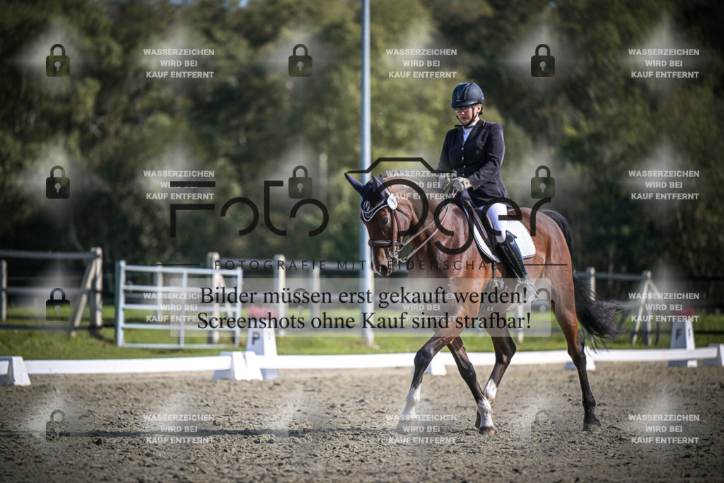 DOS_1008 | Entdecke hochwertige Reitturnierfotos von Foto Oger. Professionell, emotional und authentisch – jetzt Lieblingsmomente im Shop bestellen.Deutschlandweite Turnierfotografie. - Realisiert mit Pictrs.com