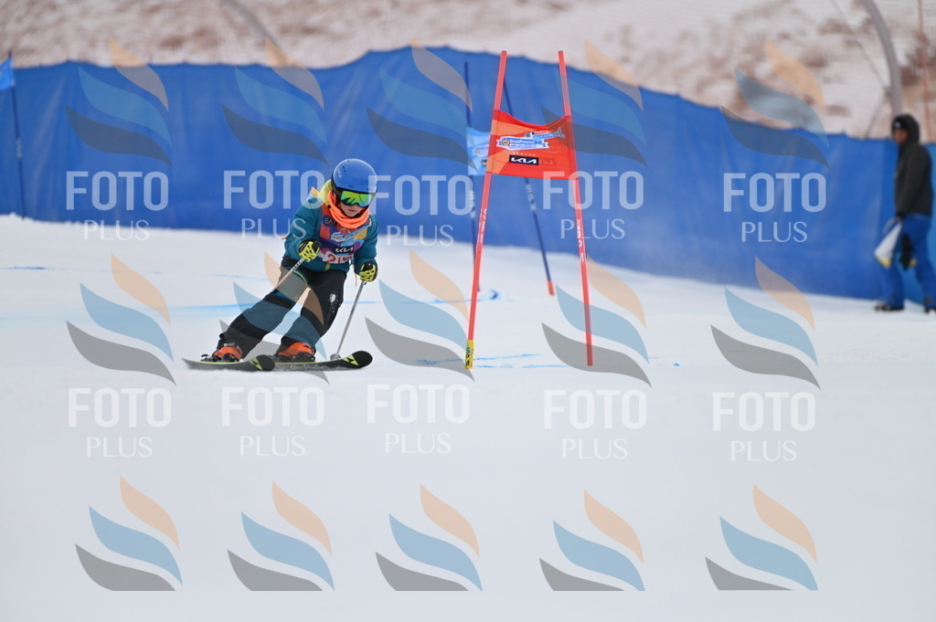 BGV_2380 | holidayphoto