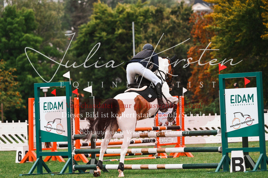 DSC_6511 | Pferde- und Turnierfotografie in Westsachsen. Pferdeportraits, Auftragszeichnungen und intuitive Kunst.