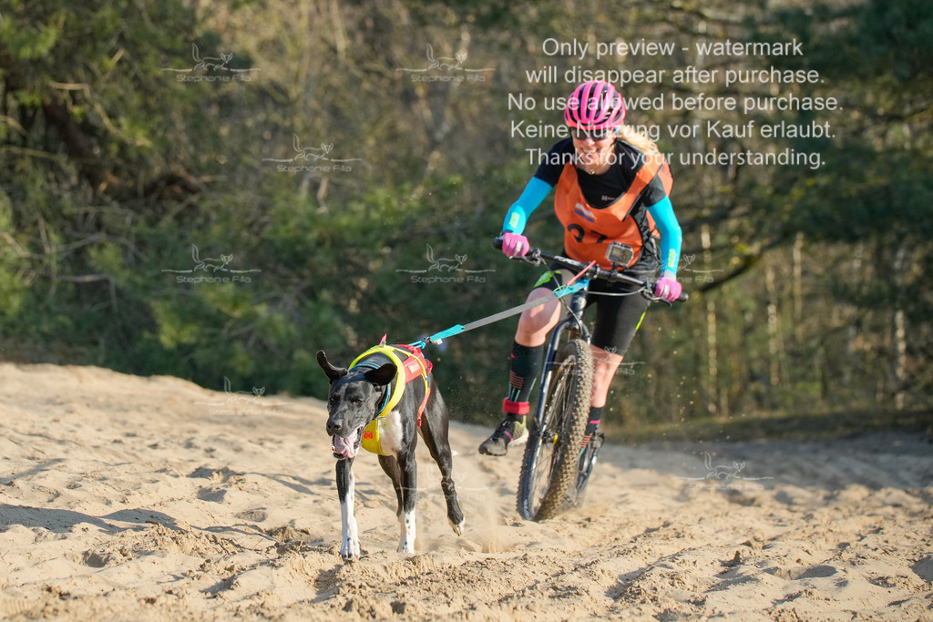 So_Scooter-132 | stephaniefillaphotographie - Realisiert mit Pictrs.com