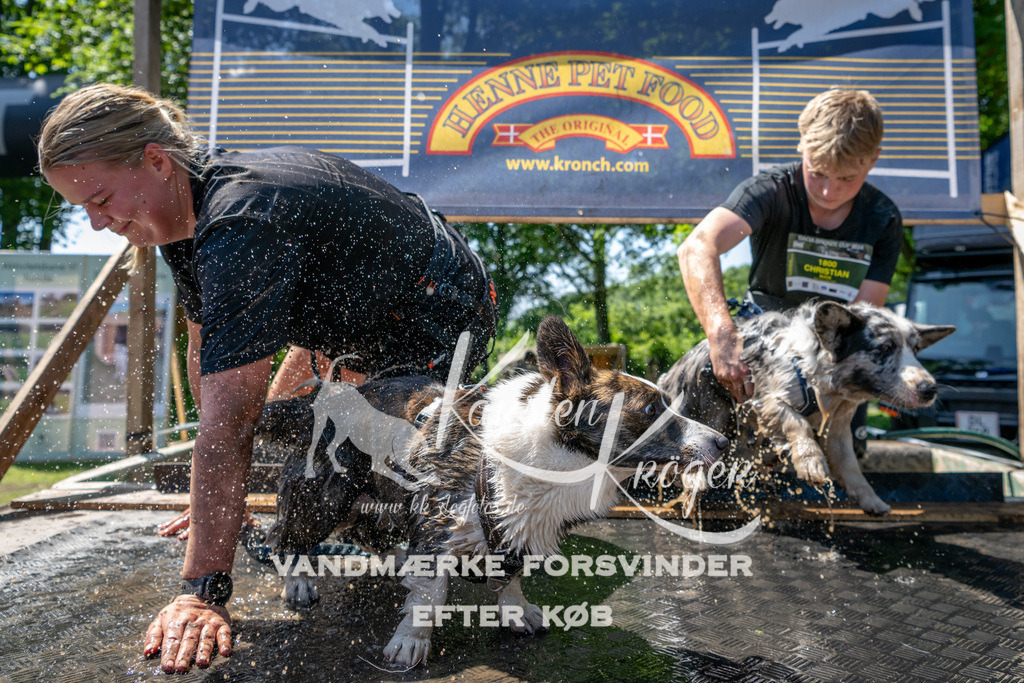 1237_ZZ91458 | kk-dogfotos