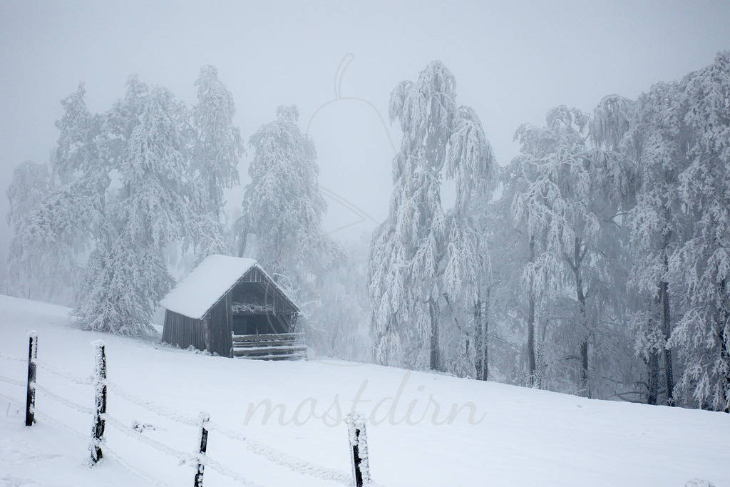 Die frostige Hütte | Ihre Fotografin im Lungau, ihre Fotografin im Mostviertel, Wandbilder Onlineshop, Imagefotos für Ihr Unternehmen,  - Realisiert mit Pictrs.com