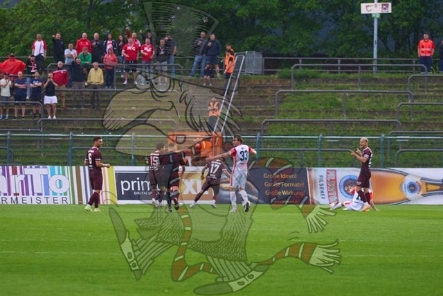 BFC Dynamo vs. Hallescher FC 043 | mythos-online-redaktion