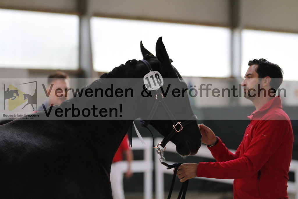 _MG_9995 | equestrian-live-com