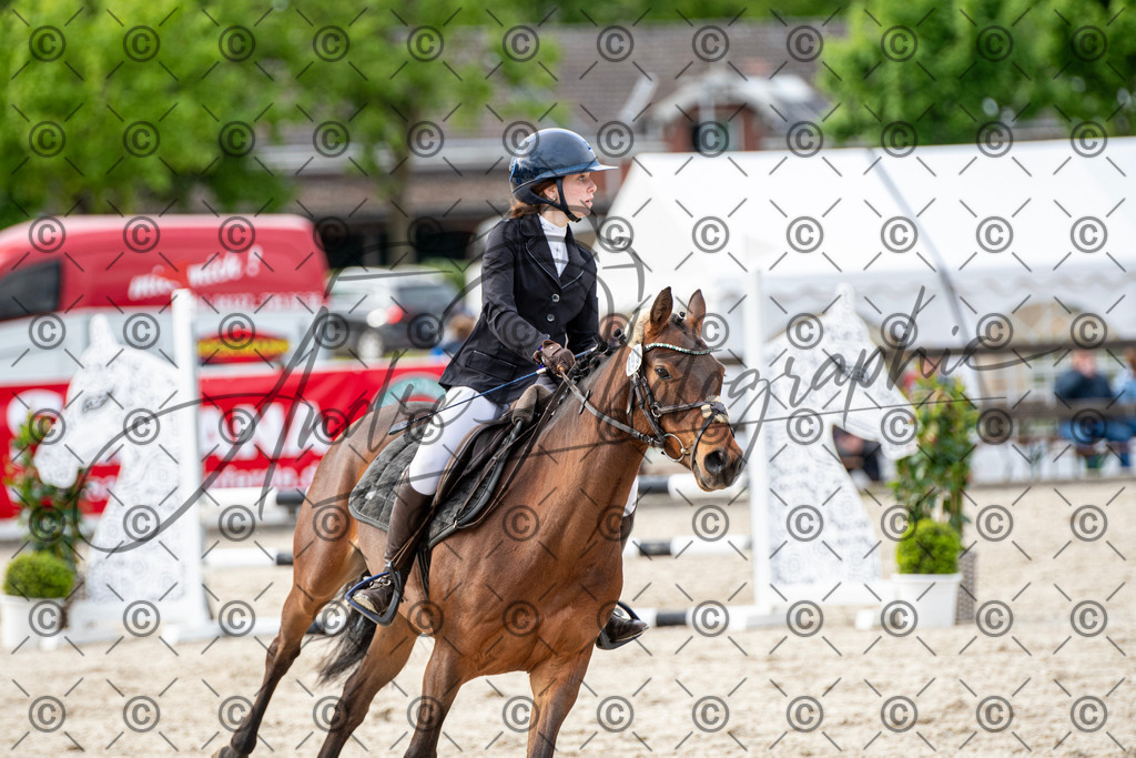 KPT_7095 | andre_photographic