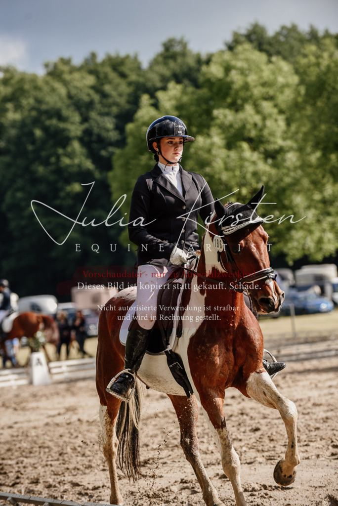 DSC_8812 | Pferde- und Turnierfotografie in Westsachsen. Pferdeportraits, Auftragszeichnungen und intuitive Kunst.