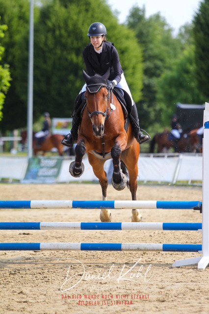 DKP41243 | Turniersportfotografie; Pferdefotografie; Dressurfotografie