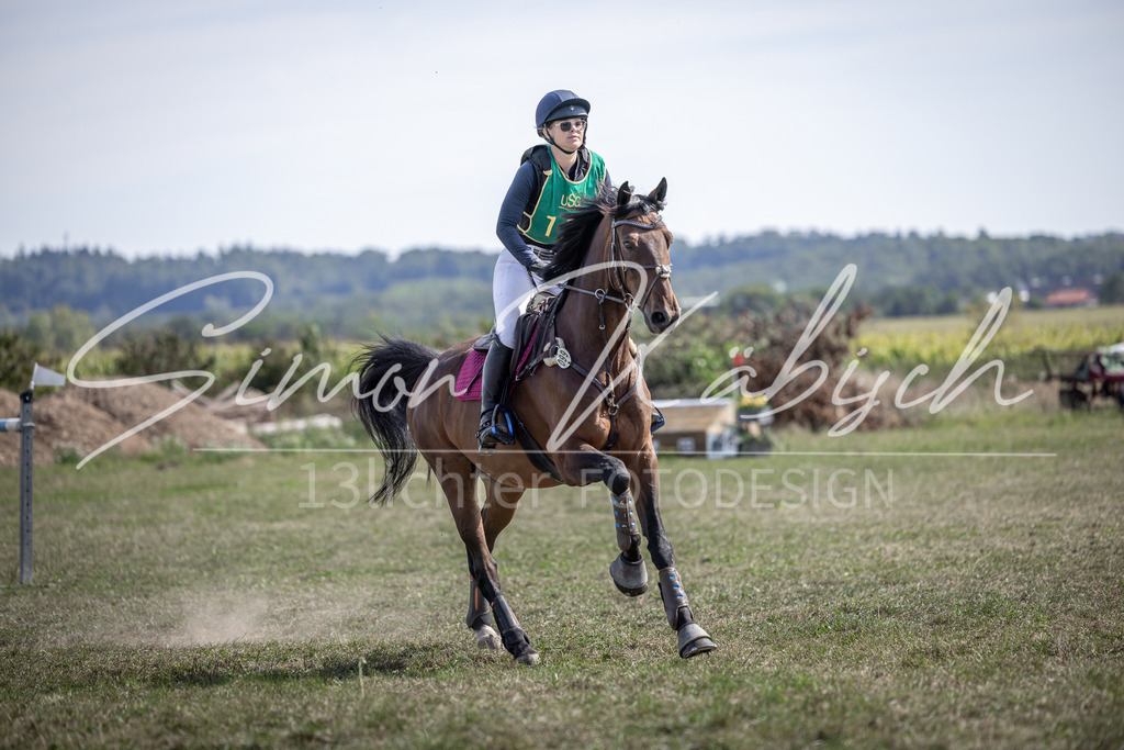 20250907-_3LI1420 | Tierfotografie Pferde, Hunde, Katzen, Haustiere.
Turnierfotografie Reitturniere, Reiten, Springreiten, Dressur in Hanau, dem Main-Kinzig-Kreis und dem Rhein-Main- Gebiet um Frankfurt