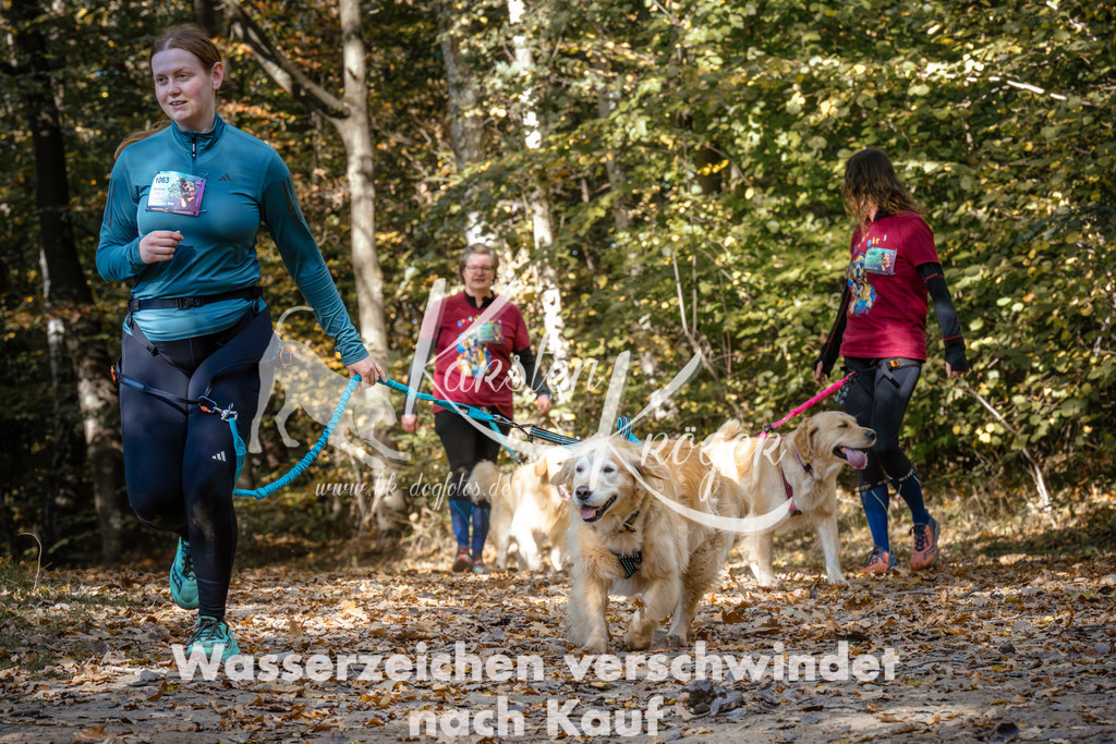 1235_ZZ95583 | kk-dogfotos