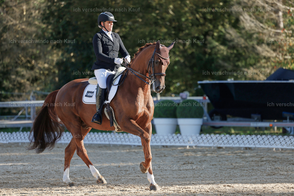 09_1-230-DRESSUR  S_  -StoibPH-5551 | working equitationturnier fotograf videograf stoibphotography marixx film working equitation deutschland reitsport turnierfotografie eventfotografie equestrian events
