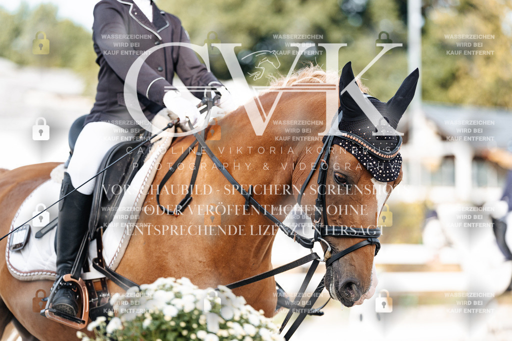 CK903723 | Turnierfotografie Pferdefotografie Trier Rheinland-Pfalz Pferdesport Reitsport Tierfotografie Sportfotografie Pferdevideo Pferdevideografie Equestrianvideography equestrianphotography  - Realisiert mit Pictrs.com