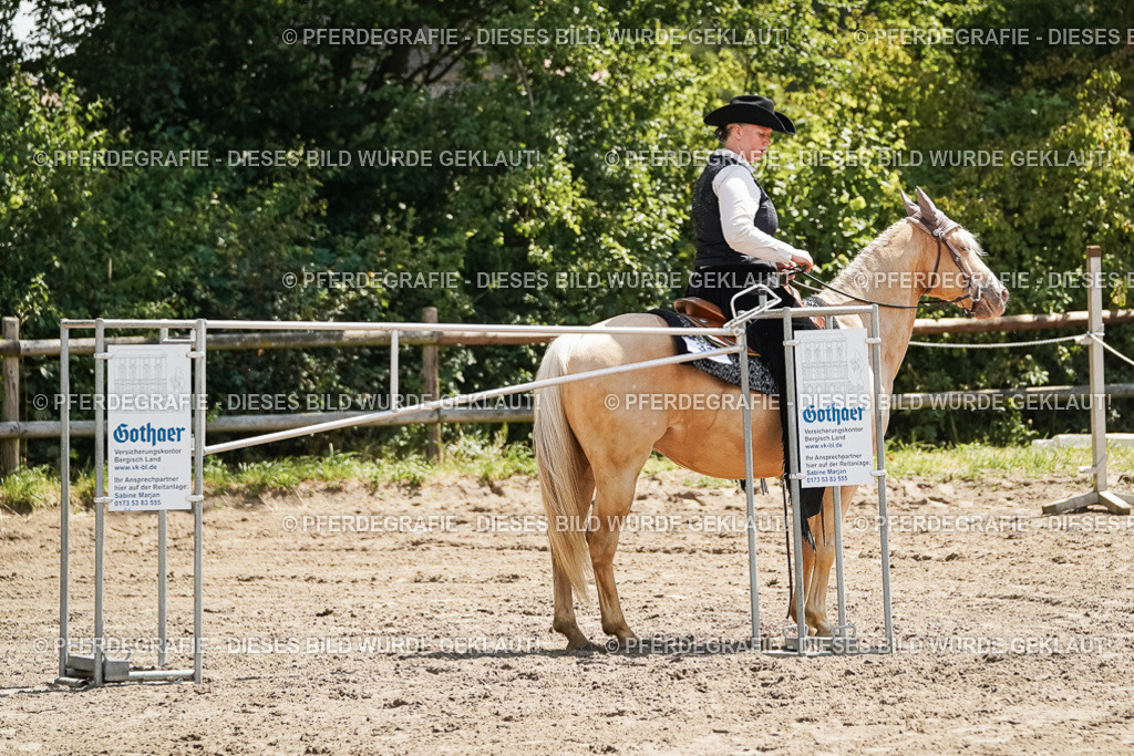 DSC06988 | Pferdegrafie