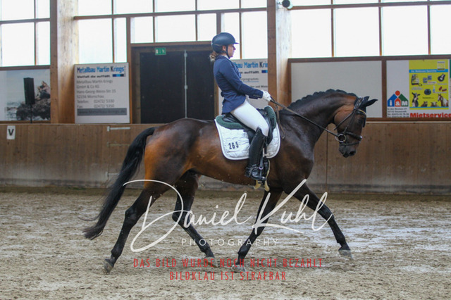 DKP43443 | Turniersportfotografie; Pferdefotografie; Dressurfotografie