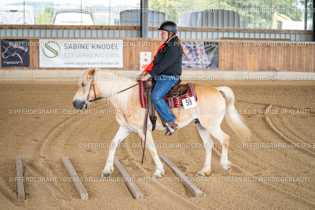 DSC01488 | Pferdegrafie