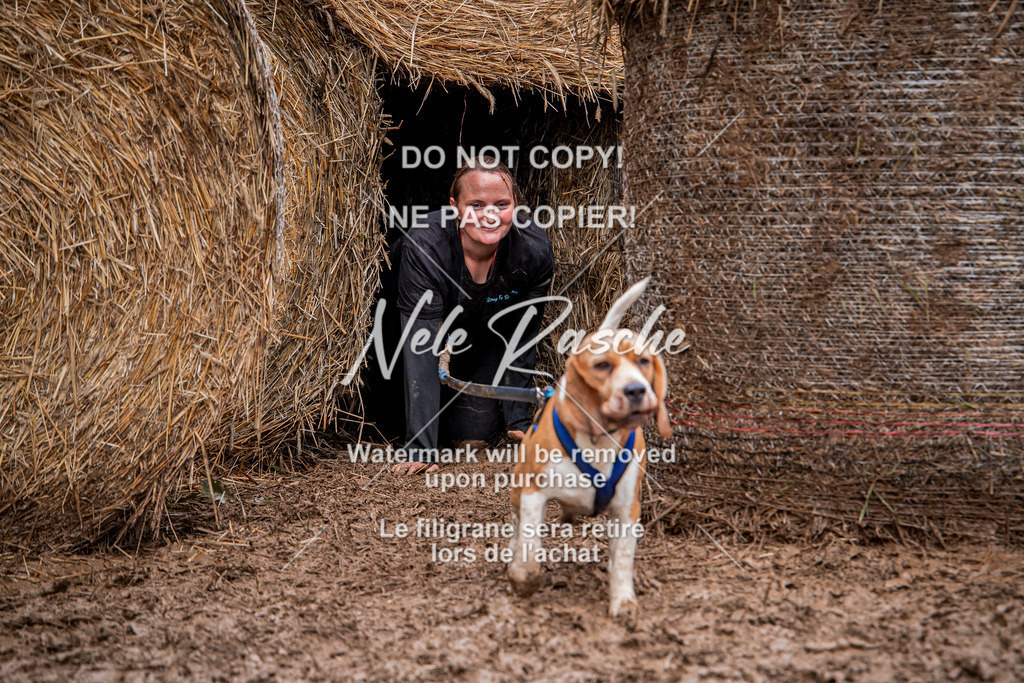 nelerasche_Hunsrück_So09-11_232 | nelerasche