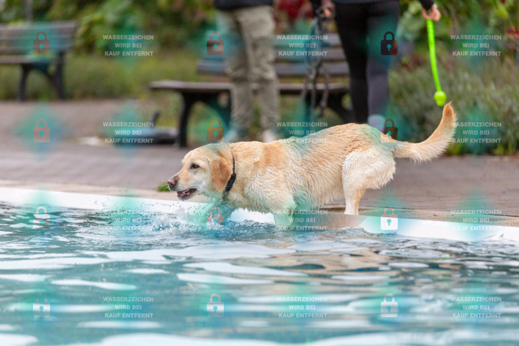 _HP_7147_1000o | HetPix, HetPix Fotodesign, Fotografie, Fotodesign, Webshop, Sportfotografie, Portraitfotografie, Onlineshop, Sportfotografie, Polch, Motorsportfotografie, Eventfotografie