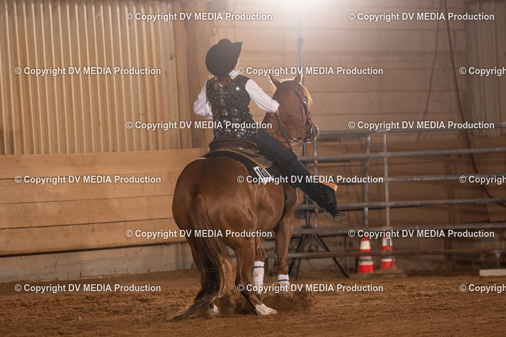 NID01042 | dv-media-shop - Realisiert mit Pictrs.com