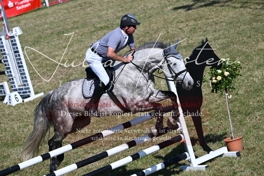 DSC_1968 | Pferde- und Turnierfotografie in Westsachsen. Pferdeportraits, Auftragszeichnungen und intuitive Kunst.
