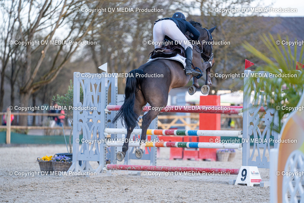 Kranichstein Tag 2-1048 | dv-media-shop - Realisiert mit Pictrs.com