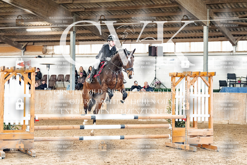 CK904525 | Turnierfotografie Pferdefotografie Trier Rheinland-Pfalz Pferdesport Reitsport Tierfotografie Sportfotografie Pferdevideo Pferdevideografie Equestrianvideography equestrianphotography  - Realized with Pictrs.com