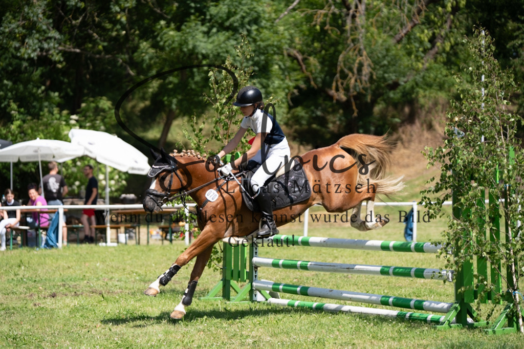 A7V05706 | Pferdefotograf