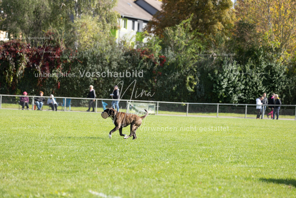 _16A6986 | Einzigartige Fotos von Hunden & Menschen –Actionfotos, Portraits, Vereinsaufnahmen & Paarshootings – authentisch, lebendig & mit Herz.