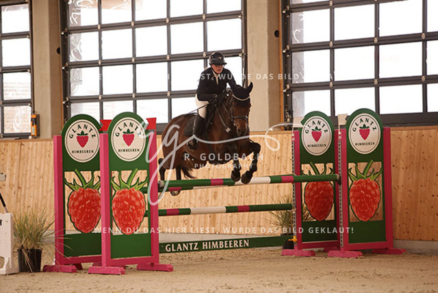 1J2A2467Elli Gruhlke_ Levito 21_ Kn340_ Hohen Wieschendorf_ Glantz | Foto- und Videografie für alles rund ums Pferd. Hochwertige Bilder und Videos vom Spring- und Dressurreiten, Voltigieren & mehr. Jetzt aktuelle Veranstaltungen und Preise im Shop ansehen. - Realisiert mit Pictrs.com
