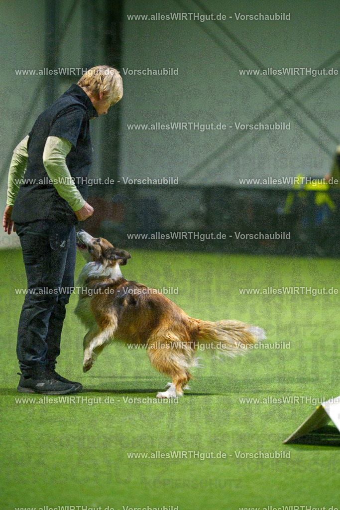 7R509763 | Professionelle Tierfotografie in Mönchengladbach von Daniel Wirth (allesWIRTHgut). Liebevolle & natürliche Bilder von Hunden & Katzen für unvergessliche Erinnerungen.