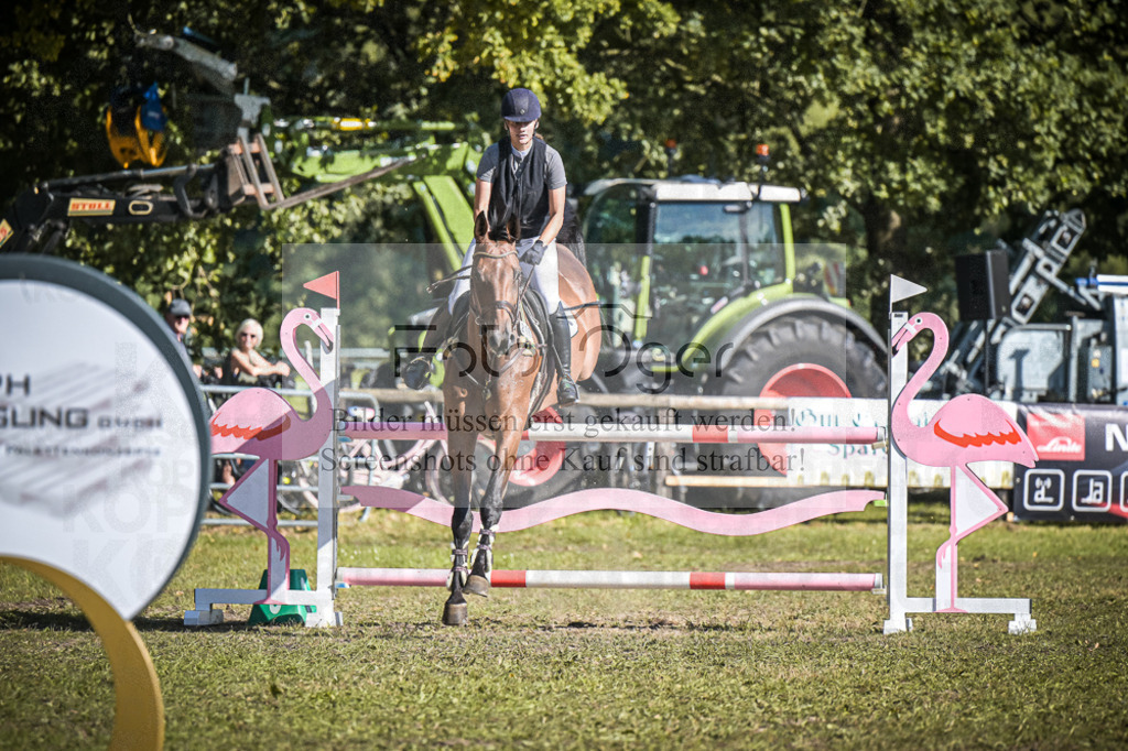 DOS_1084 | Entdecke hochwertige Reitturnierfotos von Foto Oger. Professionell, emotional und authentisch – jetzt Lieblingsmomente im Shop bestellen.Deutschlandweite Turnierfotografie. - Realisiert mit Pictrs.com