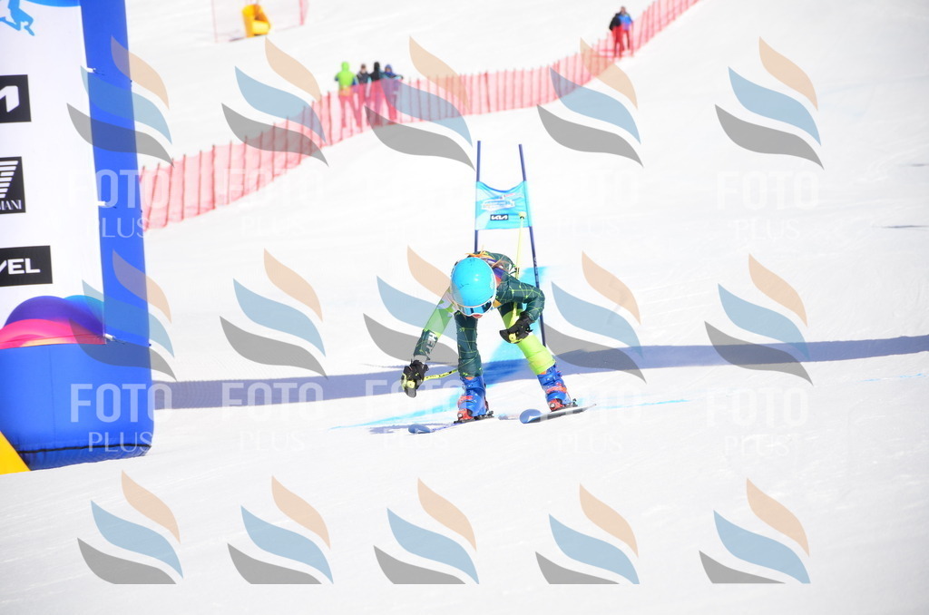 VR4_9437 | holidayphoto