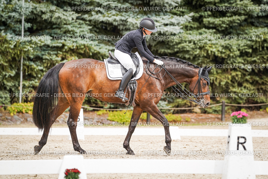 DSC05903 | Pferdegrafie