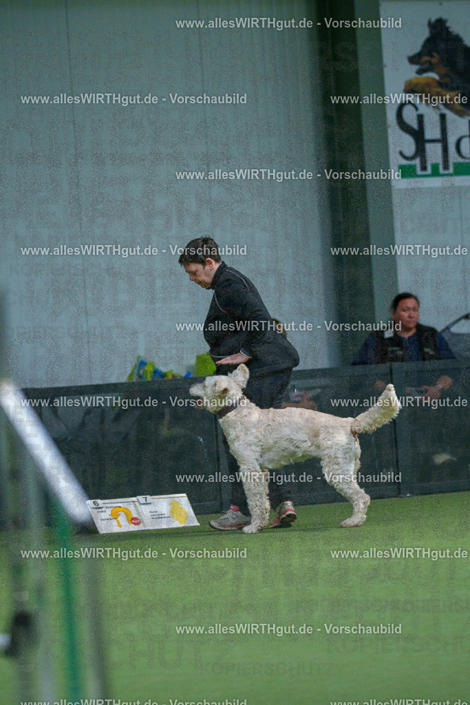 7R500769 | Professionelle Tierfotografie in Mönchengladbach von Daniel Wirth (allesWIRTHgut). Liebevolle & natürliche Bilder von Hunden & Katzen für unvergessliche Erinnerungen.