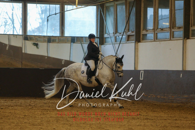 IMG_8214 | Turniersportfotografie; Pferdefotografie; Dressurfotografie